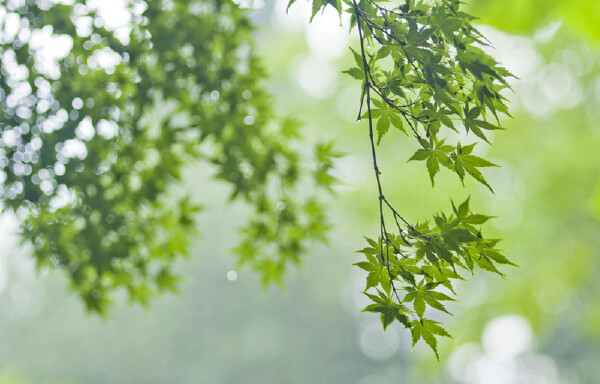 即墨北站出发_即墨周末高铁游_即墨途经景点