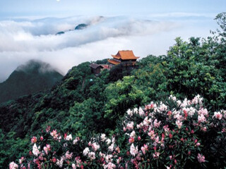 現(xiàn)在去莽山郴州旅游多少錢(qián)_現(xiàn)在到莽山郴州旅游多少錢(qián)_去莽山郴州游要多少錢(qián)