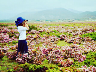 云南麗江旅游花費一般多少_暑假云南麗江游價格_云南麗江旅游最佳路線