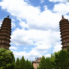 活动模块 