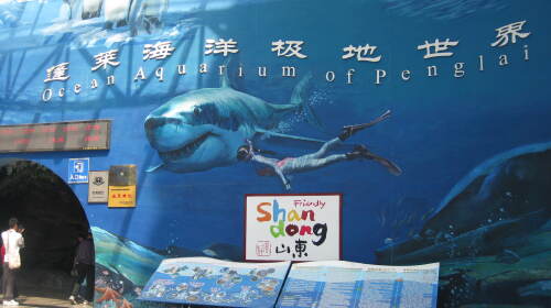 [端午] 蓬莱海洋极地世界自驾1日游>体验奇妙的海洋之