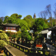 景点模块 
