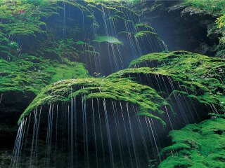 河南洛阳-龙门石窟-少林寺报团旅游价格_中国去河南洛阳-龙门石窟-少林寺旅游_跟团旅游河南洛阳-龙门石窟-少林寺