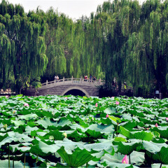 景点模块 