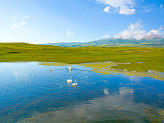 2021年新疆旅游團(tuán)報(bào)價(jià)_新疆游 旅行團(tuán)_新疆旅游多少錢