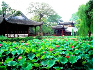 華東蘇州旅游費用_華東蘇州旅行團旅游報價_近期華東蘇州游價格