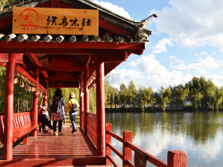 2021年云南香格里拉旅游團(tuán)報(bào)價(jià)_特價(jià)云南香格里拉游_云南香格里拉旅游多少錢一個(gè)人