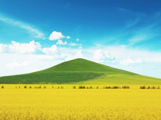 呼伦贝尔游跟团游_呼伦贝尔旅游团_呼伦贝尔游旺季价格