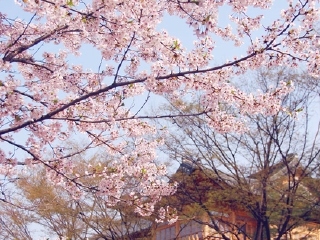 【佛得角】地址_地图_电话_佛得角在哪里,怎么