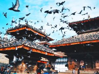 深圳到尼泊爾旅游報價_報團去尼泊爾多少錢_去尼泊爾報團多少錢