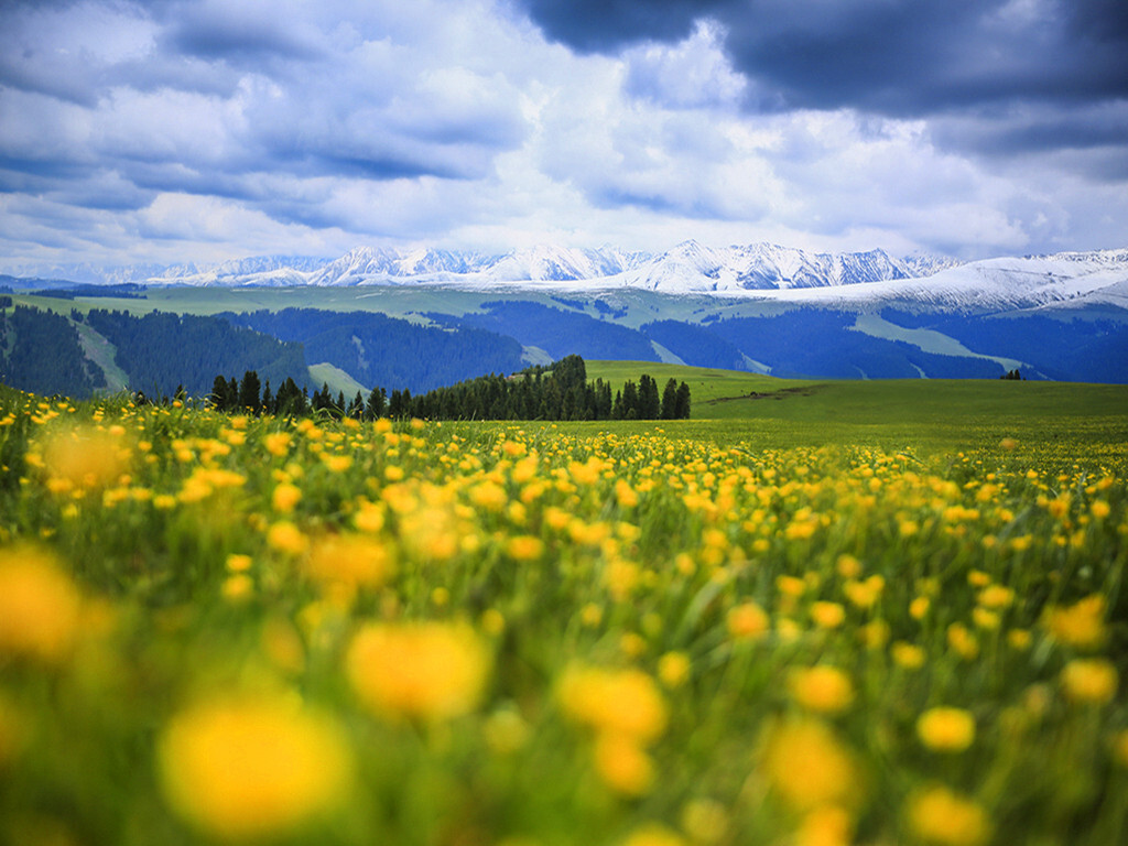 <乌鲁木齐-新疆伊犁-巴音天鹅湖-那拉提草原-喀纳斯-禾木双飞9日游