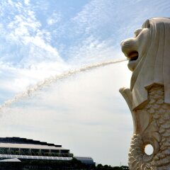 小交通模块 