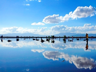 青海最佳旅游路線_青海游花多少錢_青海游報價