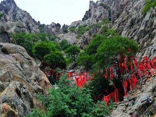 银川自由行还是跟团好_去银川旅游组团_银川几日游