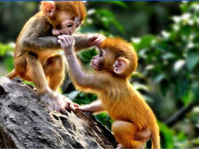 <三峡大坝-三峡人家-清江方山三峡大瀑布-游