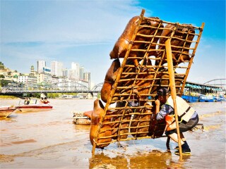 过年去额济纳旗胡杨林旅游团_额济纳旗胡杨林七日游_几月份去额济纳旗胡杨林旅游好