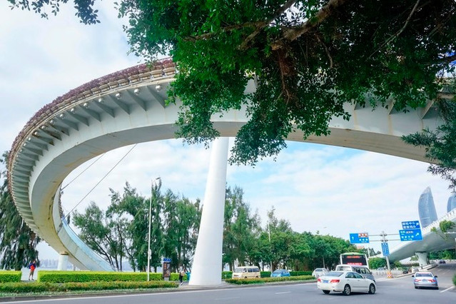 从厦门大学出来便是环岛路一座弧形的天桥.