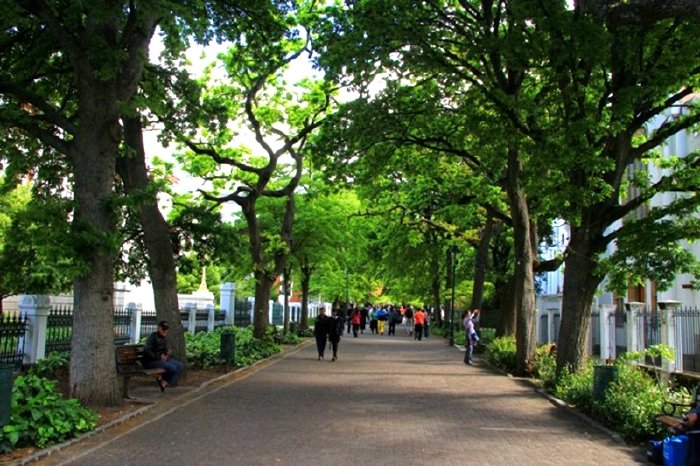 这是到街心花园必经的开普敦"政府大道.