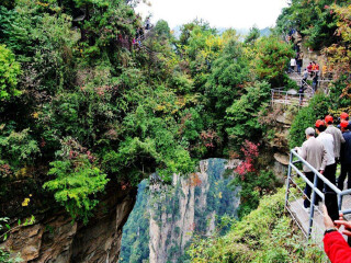 湖南張家界旅游跟團(tuán)需多少錢_湖南張家界高端品質(zhì)旅游團(tuán)_湖南張家界旅游組團(tuán)