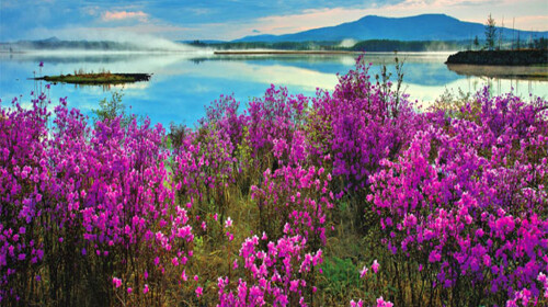 <呼伦贝尔-乌兰浩特-阿尔山-满洲-额尔古纳