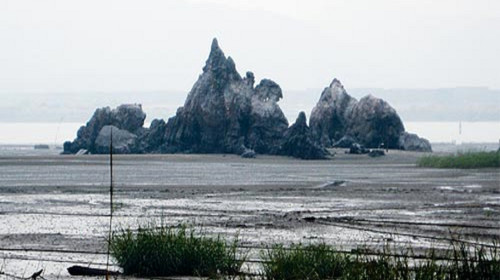 海门岛鸡冠石