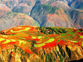 云南宣威GDP超过安宁_云南宣威白皮瓜