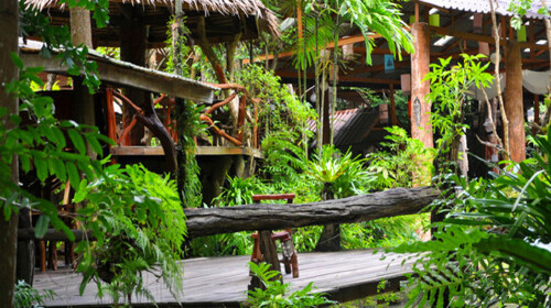 罗勇绿光森林餐厅_罗勇绿光森林餐厅分享展示