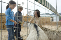 动物园义工活动