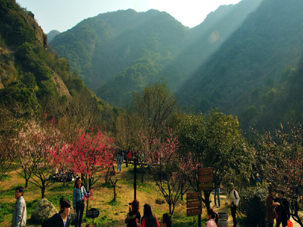 宁波实惠好吃的平价海鲜_宁波当地人去什么地