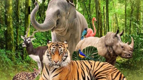 越南富国岛机票+当地5晚6日游 三晚连住珍珠度