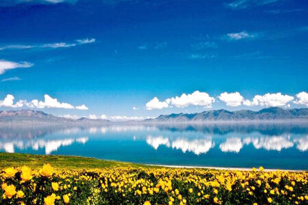 <新疆喀纳斯+卧龙湾+月亮湾+那拉提+赛里木湖+熏衣草基地双飞7日游