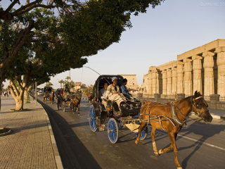埃及旅游一次多少錢_埃及旅游跟團需多少錢_埃及旅游團報價2021