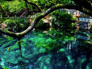 云南瀘沽湖九月旅游_云南瀘沽湖最適合旅游的季節(jié)_云南瀘沽湖旅游花費一般多少