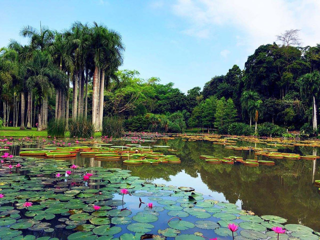  云南-昆明-西双版纳热带植物园3飞6日游>享希尔顿度假酒店,普洱国家