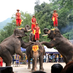 景点模块 