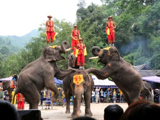 到丽江旅游线路_丽江纯玩旅游团_旅游团丽江旅游
