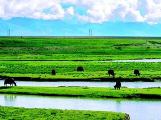 內(nèi)蒙古呼倫貝爾十一旅游團(tuán)_內(nèi)蒙古呼倫貝爾四日游_去內(nèi)蒙古呼倫貝爾旅游