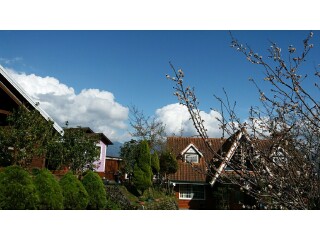 景点介绍_2017台北市动物园简介_中国台湾台