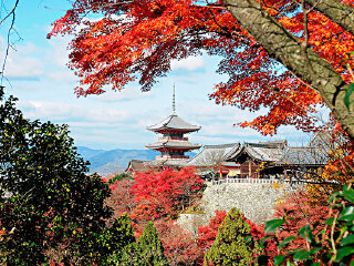 日本大阪旅游價(jià)格多少_怎么去日本大阪旅游_日本大阪自由游價(jià)格多少