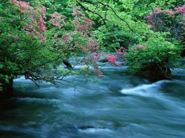 神龙川风景区