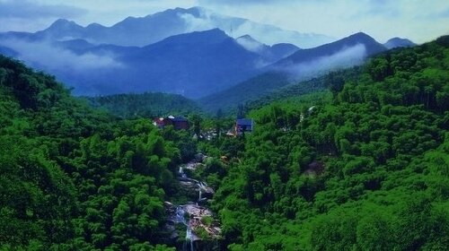 东天目山-春笋节-神龙川2日游>宿县城商务酒店,含早,赠特色笋宴,送