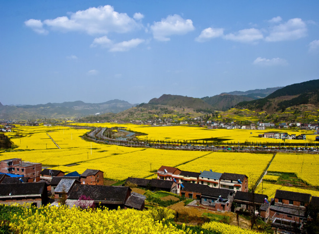  南川神龙峡-北固油菜花1日游>游万亩油菜花田,主城多