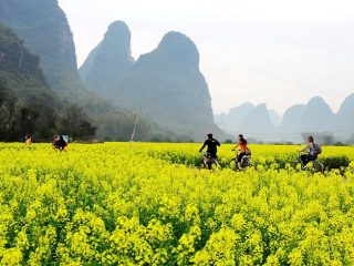 桂林旅游價(jià)格多少跟團(tuán)_桂林旅游跟團(tuán)需多少錢(qián)_桂林旅游多少錢(qián)一個(gè)人