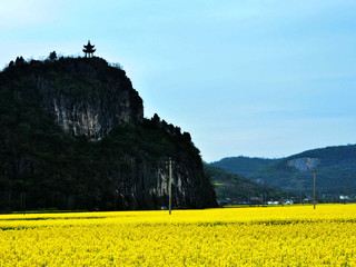  泾县桃花潭-狮子山油菜花海1日游>小桥人家,风景如画