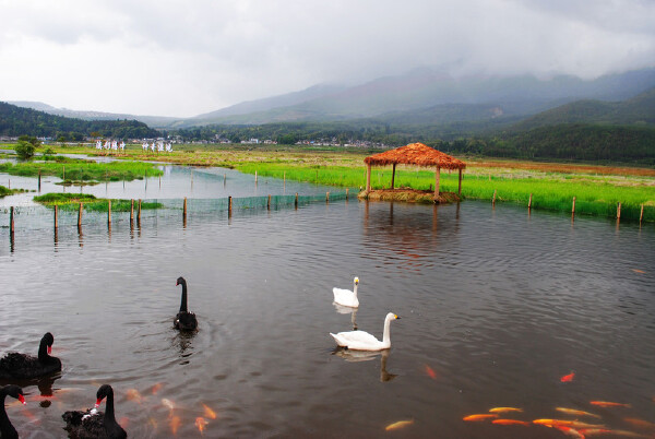 保山适合逛街的地方_保山哪里适合逛街_保山