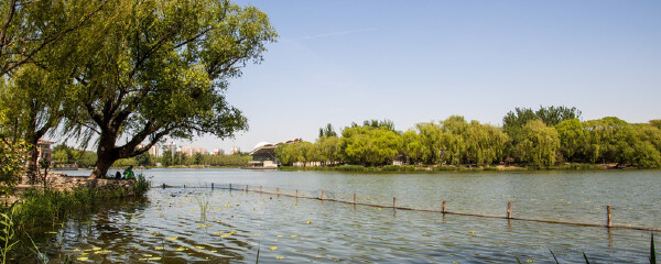 合拍婚纱照的地方_朝阳适合拍婚纱照的外景_