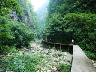 湖南張家界自由行旅游團_湖南張家界游花多少錢_湖南張家界旅行團自由行