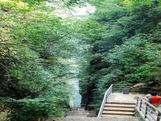 湖南張家界自由行旅游團_湖南張家界游花多少錢_湖南張家界旅行團自由行