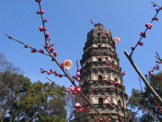 华东旅游行程报价_到华东旅游报团_春节跟团华东旅游