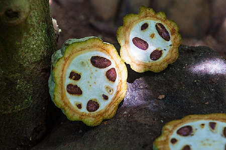 food_picture